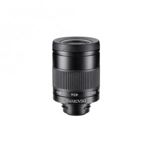 Swarovski Optik Ocular 20-60x (Eyepiece) รหัส BF-Z660-0202A (สอบถามราคา โทร 022228371)